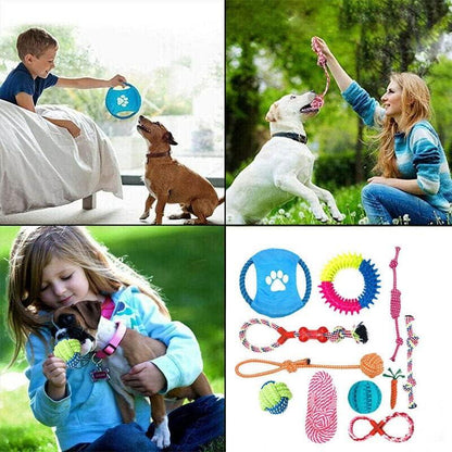 Collage of people playing with dogs and dog toys, including a close-up of various dog toys.